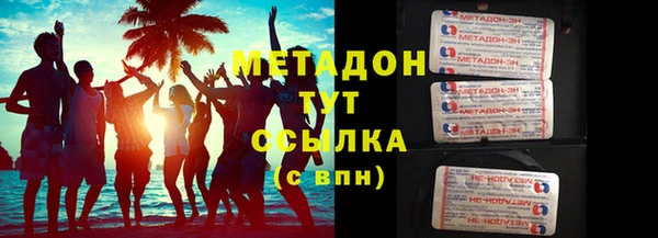 прущие грибы Арсеньев