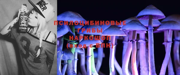 PSILOCYBIN Армянск