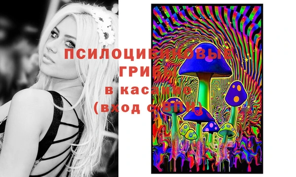 прущие грибы Арсеньев