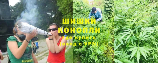 бошки Аркадак