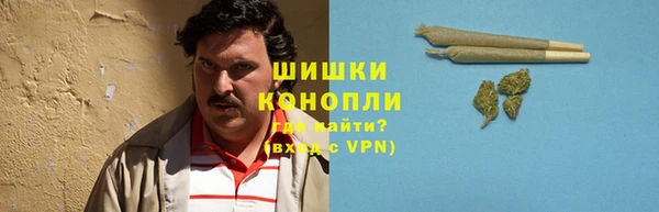 прущие грибы Арсеньев