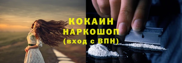 PSILOCYBIN Армянск